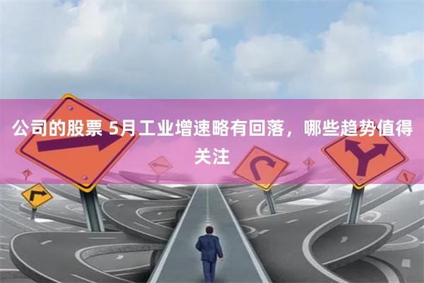 公司的股票 5月工业增速略有回落，哪些趋势值得关注