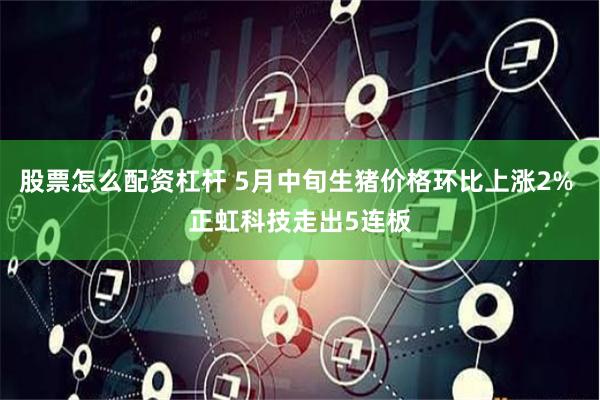 股票怎么配资杠杆 5月中旬生猪价格环比上涨2% 正虹科技走出5连板